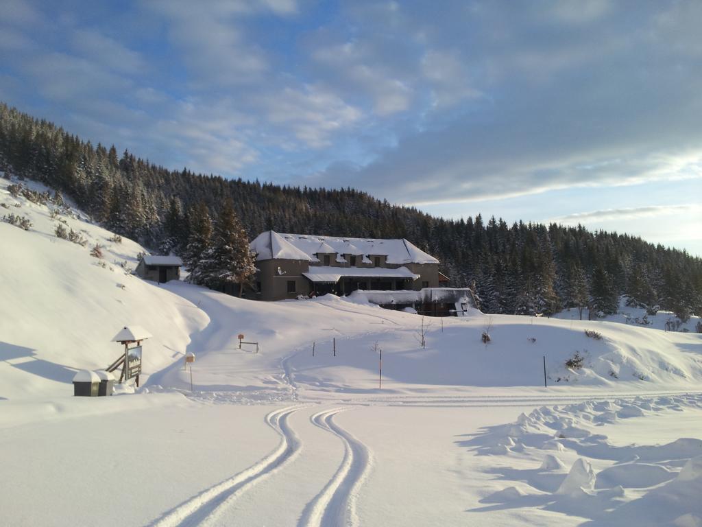 Gite Chalet Du Soulor Arrens-Marsous Екстериор снимка