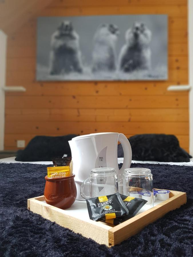 Gite Chalet Du Soulor Arrens-Marsous Екстериор снимка